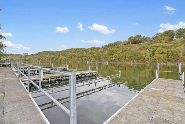 dock area with a water view