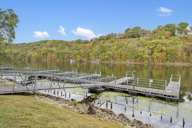 dock area featuring a water view