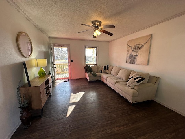 living room featuring dark hardwood / wood-style flooring, ceiling fan, ornamental molding, and a textured ceiling