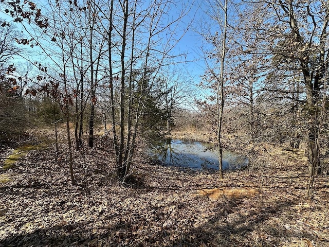 view of water feature