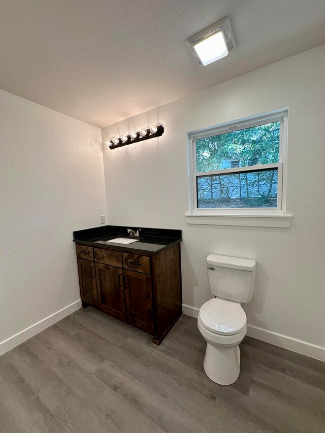 bathroom featuring vanity, toilet, and hardwood / wood-style floors