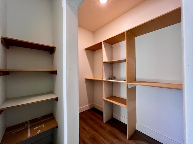 spacious closet featuring dark hardwood / wood-style flooring