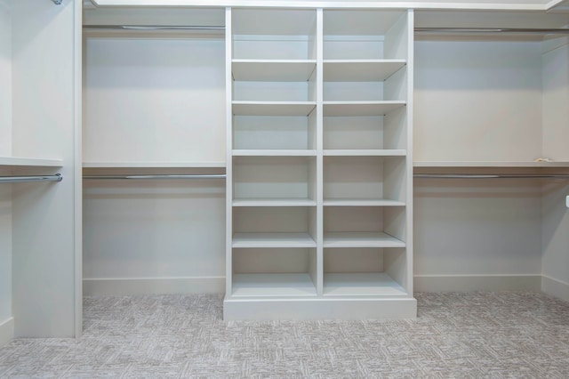 spacious closet with light colored carpet