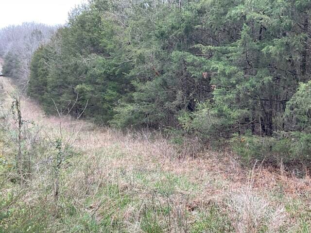 000 Pinion Rd, Shell Knob MO, 65747 land for sale