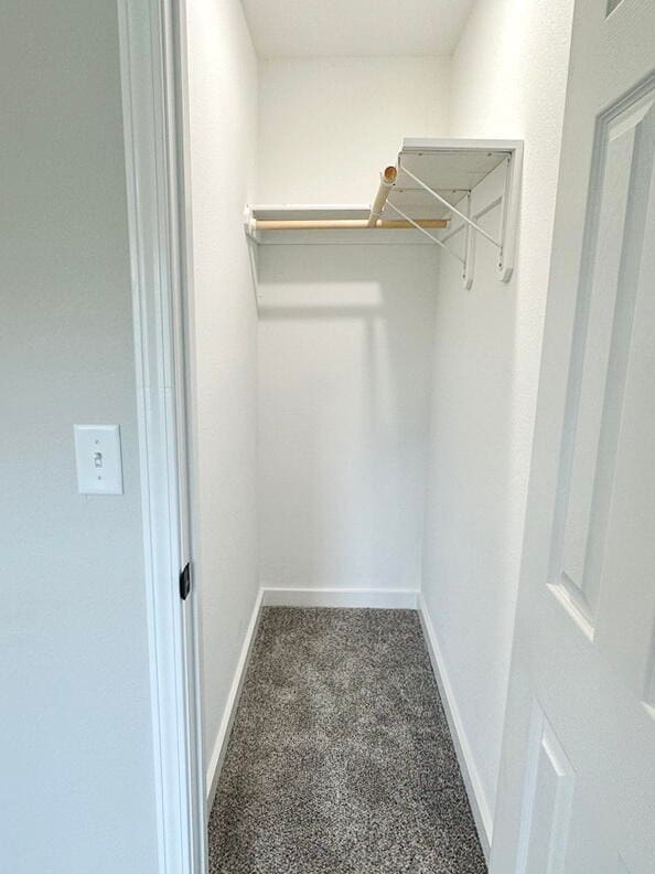 spacious closet with dark colored carpet