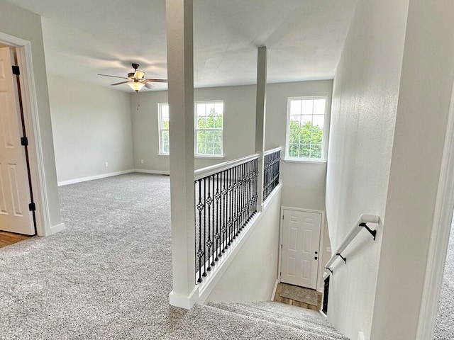 stairs with carpet flooring and ceiling fan