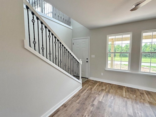 foyer entrance featuring hardwood / wood-style flooring