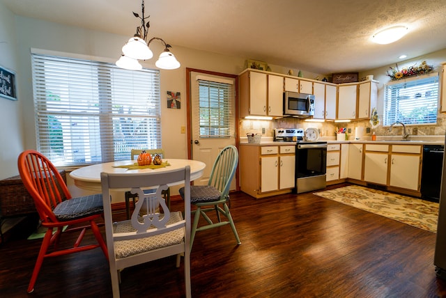 kitchen with dark wood-type flooring, decorative light fixtures, stainless steel appliances, and a healthy amount of sunlight