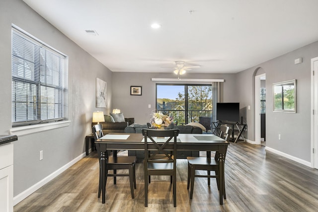 dining area featuring a wealth of natural light, ceiling fan, and dark hardwood / wood-style flooring