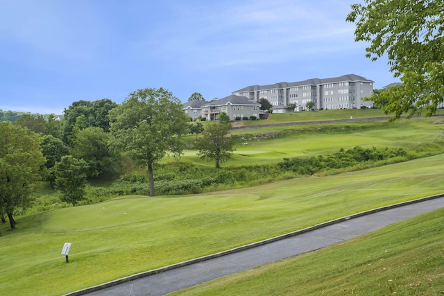 view of home's community with a lawn