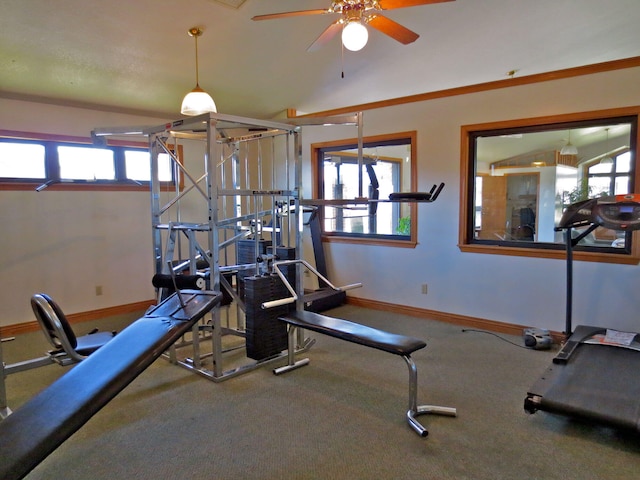 exercise area featuring a wealth of natural light, lofted ceiling, and ceiling fan