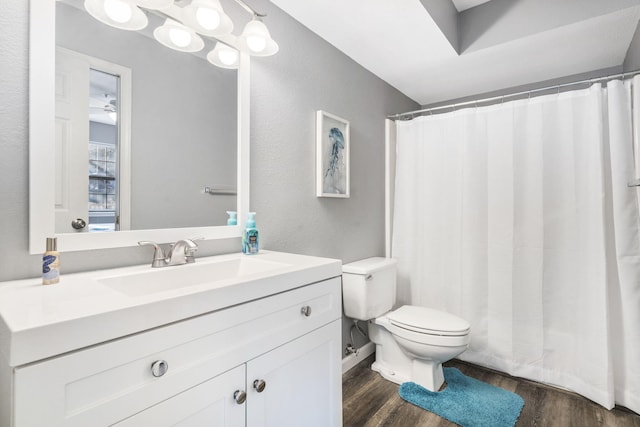 bathroom with vanity, toilet, wood-type flooring, and a shower with shower curtain