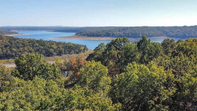 221 Beachwood St, Theodosia, MO 65761 - birds eye view of property with a forest view and a water view