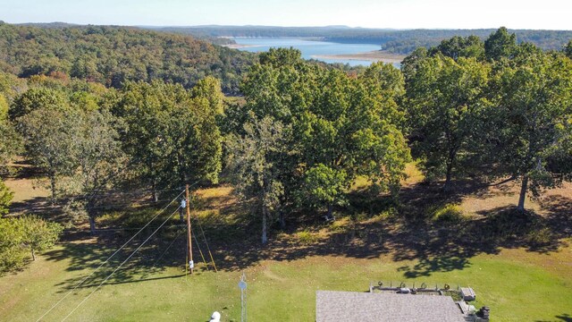 221 Beachwood St, Theodosia, MO 65761 - drone / aerial view with a forest view and a water view