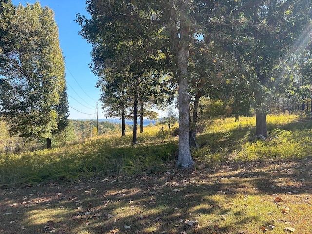 221 Beachwood St, Theodosia, MO 65761 - view of local wilderness