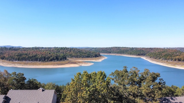 221 Beachwood St, Theodosia, MO 65761 - property view of water with a forest view
