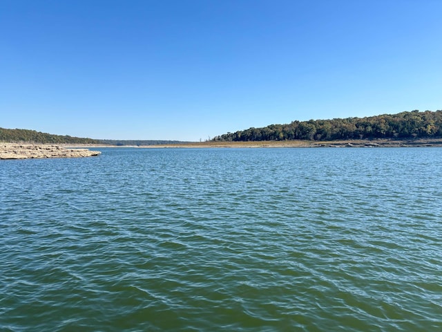 221 Beachwood St, Theodosia, MO 65761 - property view of water