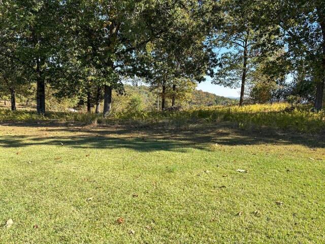 221 Beachwood St, Theodosia, MO 65761 - view of yard