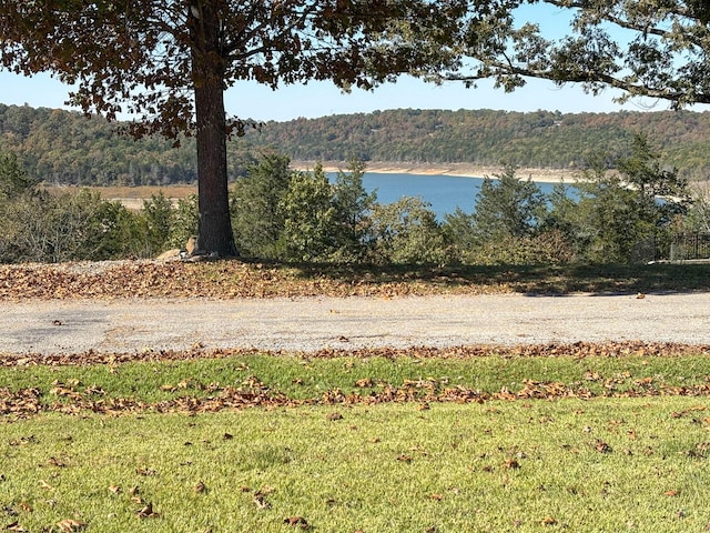 221 Beachwood St, Theodosia, MO 65761 - property view of water with a forest view