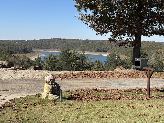 221 Beachwood St, Theodosia, MO 65761 - water view featuring a view of trees