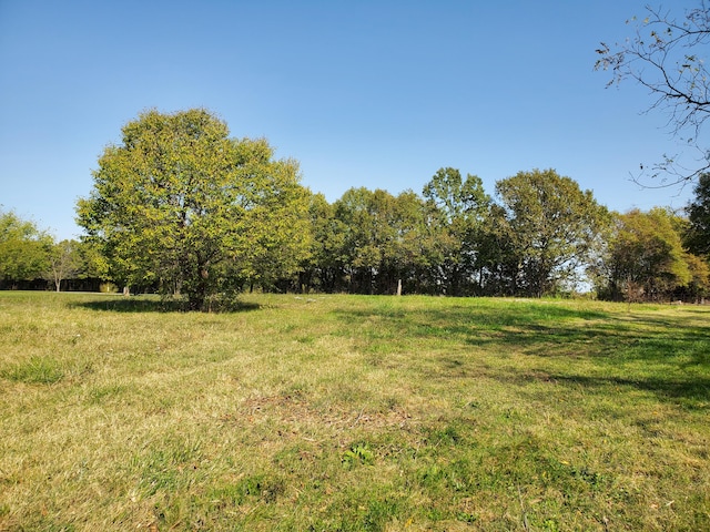 view of yard featuring a rural view