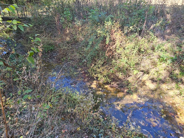 view of nature with a water view