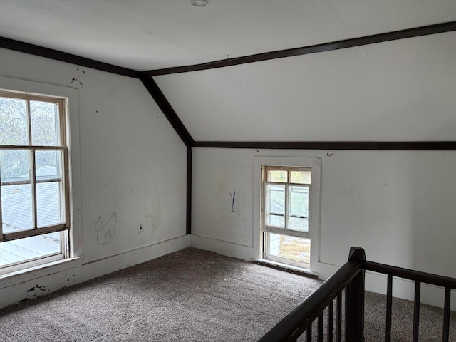 additional living space featuring lofted ceiling and carpet