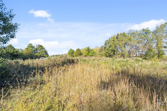 1669 State Highway J, Marshfield, MO 65706 - photo 2