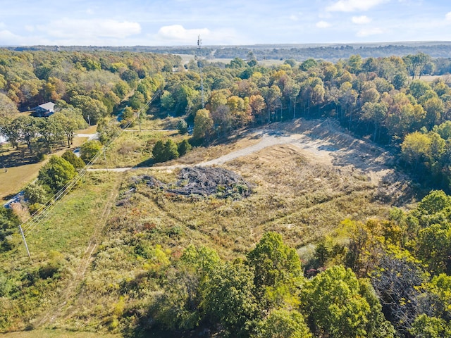 1669 State Highway J, Marshfield, MO 65706 - photo 7