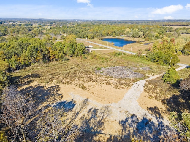 1669 State Highway J, Marshfield, MO 65706 - photo 8