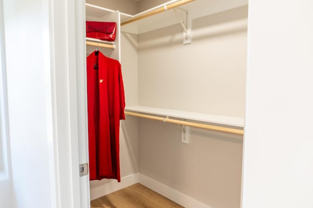 walk in closet featuring wood-type flooring