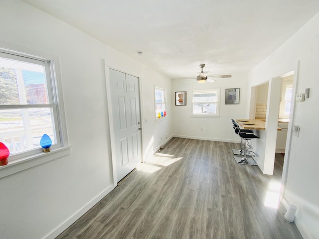 foyer entrance with hardwood / wood-style flooring and ceiling fan