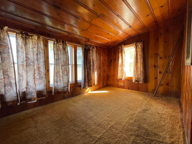 miscellaneous room with dark carpet, lofted ceiling, a healthy amount of sunlight, and wood walls