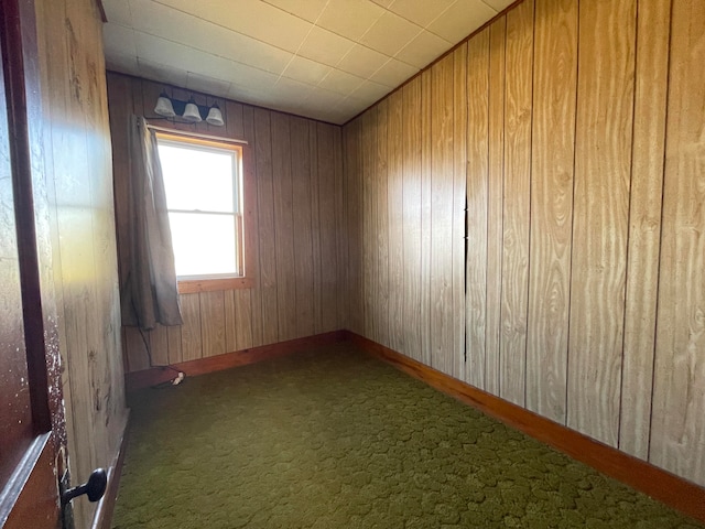 empty room featuring carpet floors and wooden walls