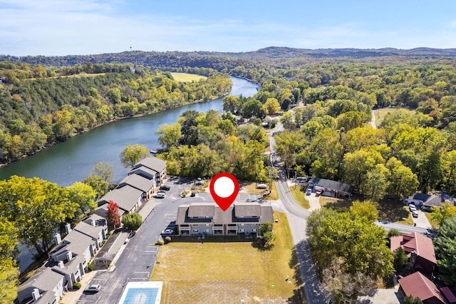 123 River Point Rd Unit 37, Hollister, MO 65672 - drone / aerial view of a forest and a nearby body of water
