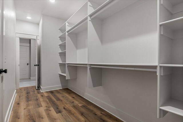 spacious closet featuring dark hardwood / wood-style floors