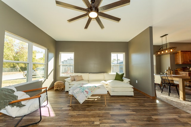 living room with ceiling fan, a wealth of natural light, and dark hardwood / wood-style flooring