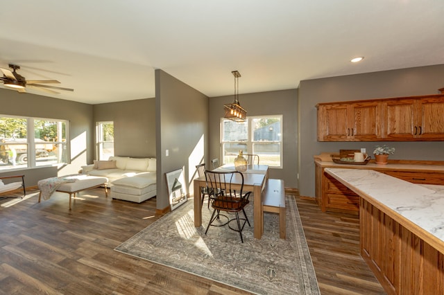 dining room featuring ceiling fan, dark hardwood / wood-style floors, and plenty of natural light