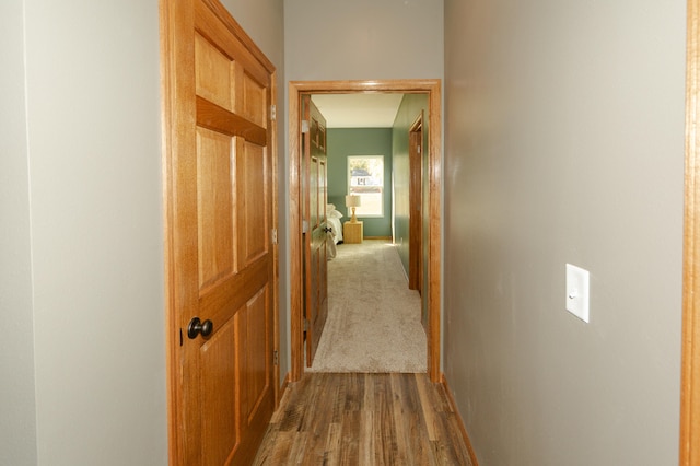 hallway featuring hardwood / wood-style floors