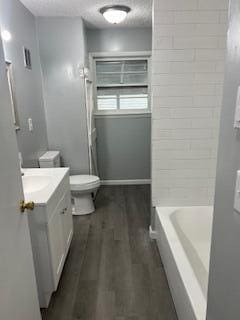 bathroom featuring toilet, vanity, and wood-type flooring