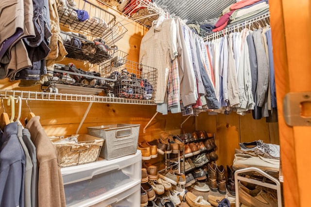 view of spacious closet