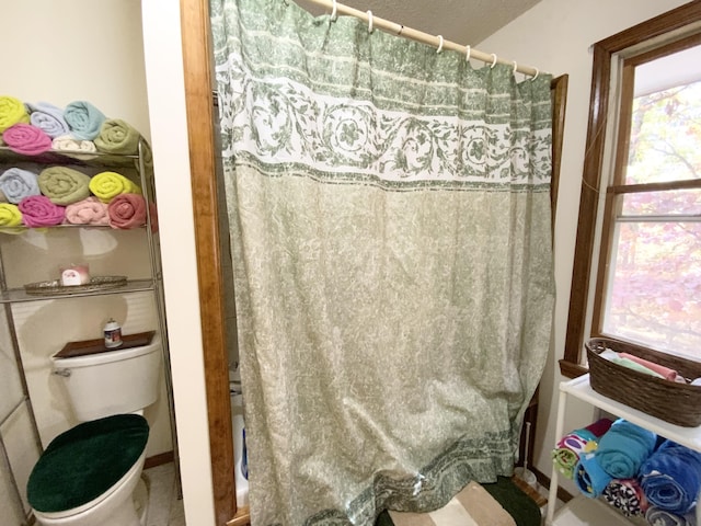 1814 State Highway 125, Sparta, MO 65753 - full bath featuring toilet and a shower with curtain