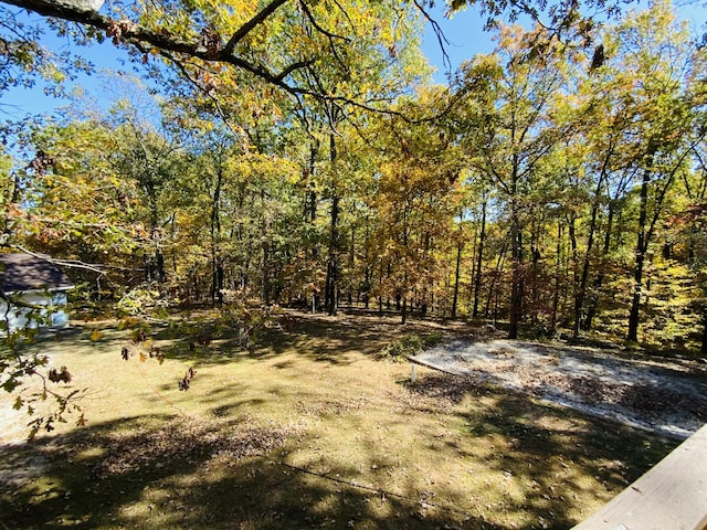 1814 State Highway 125, Sparta, MO 65753 - view of yard