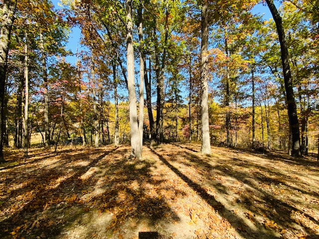 view of landscape