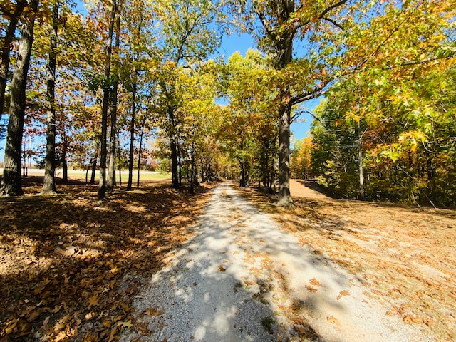 view of road