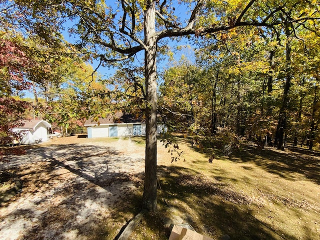 1814 State Highway 125, Sparta, MO 65753 - view of yard with driveway