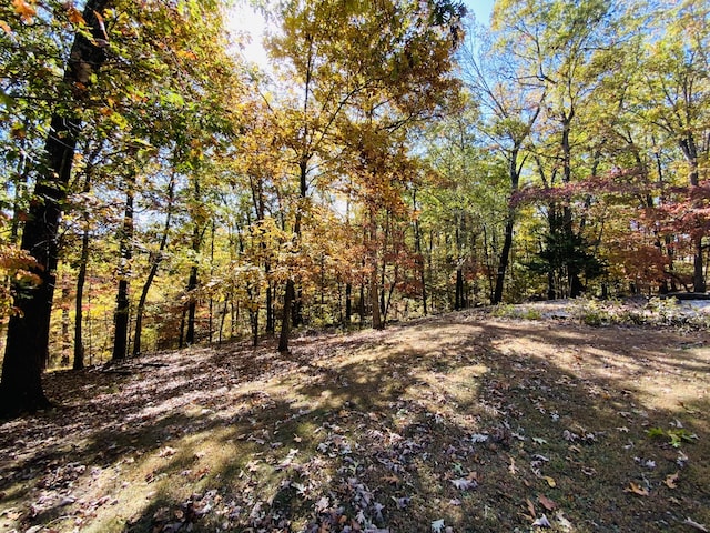 1814 State Highway 125, Sparta, MO 65753 - view of nature featuring a wooded view