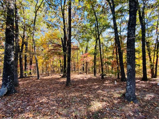 view of landscape