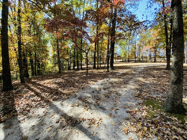 1814 State Highway 125, Sparta, MO 65753 - view of road