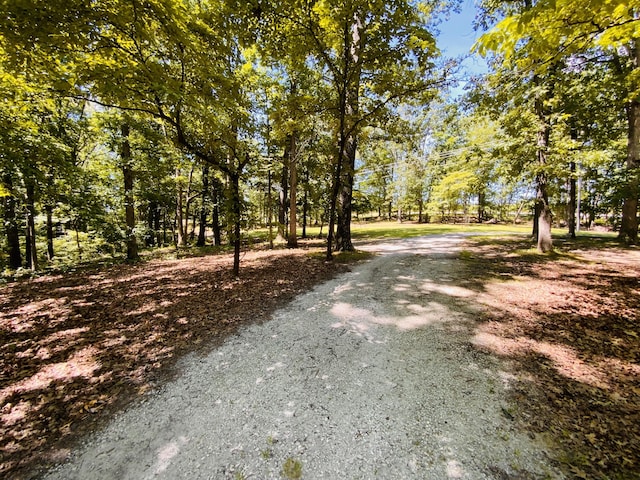1814 State Highway 125, Sparta, MO 65753 - photo 34